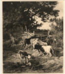 Baisch, Hermann , - bestiame