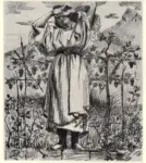 Anonimo ; Anonimo , s.v.