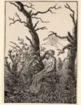 Friedrich, Caspar David , Die Spinne