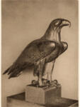 Gaul, August , Aquila