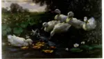 Koester, Alexander , Ducks and Ducklings on a pond -