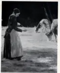Liebermann, Max , Donna con mucche