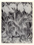 Rohlfs, Christian , Tulipani bianchi