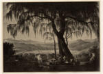 Schinkel, Karl Friedrich , Unter der trauerweide -