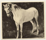 Trubner, Wilhelm , - ritratto di cavallo