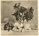 Trubner, Wilhelm , Crisanteme