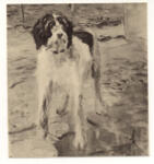 von Uhde, Fritz , Ritratto di cane