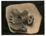 Arp, Jean , Relief