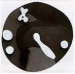 Arp, Jean , L'orologio