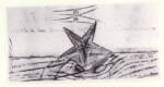 Ernst, Max , Etoile de Mer