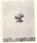 Ernst, Max , Homme oiseau