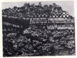 Ernst, Max , La ville entiere