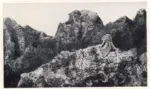 Ernst, Max , Chimeras in the Mountains
