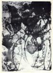 Ernst, Max , La femme oiseau