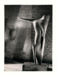 Heiliger, Bernhard , - figura vegetale