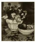 Anonimo , Hess, Julius - sec. XX - Fiori e frutta