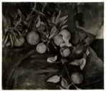 Jaenkel, Willy , Ramo di aranci -