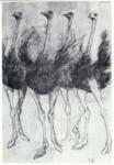 Krampe, Fritz , Ostrich Ballet -