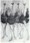 Krampe, Fritz , Ostrich Ballet