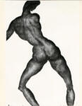 Metzner, Franz , Nudo di schiena maschile