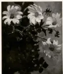 Nolde, Emil , Clematide e dalie bianche