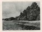 Pechstein, Max , - veduta di paesaggio palustre
