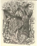 Schrimpf, Georg , Im Urwald