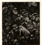 Seewald, Richard , Papagei