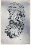 Schulze Wols, Alfred Wolfgang Otto , Composizione n. 17