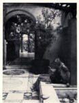 Alma -Tadema, Lawrence , The Oleander
