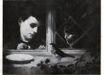 Ansdell, Richard , A Timid Visitor