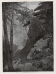 Beverley, William Roxby , - sentiero nel bosco