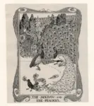 Billinghurst, P. J. , - pavoni in giardino