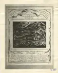 Anonimo , Blake, William - sec. XIX - Il libro di Giobbe