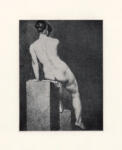 Parkers Bonington, Richard , Rosa -