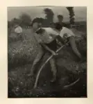 Clausen, George , I falciatori