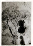 Constable, John , Studi di alberi -