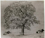 Constable, John , Studio di alberi e buoi