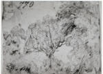 Constable, John , Studio di alberi