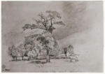 Constable, John , - Studio di alberi