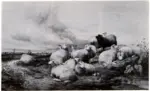 Cooper, Thomas Sidney , Sheep resting