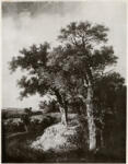 Crome, John , A Woody Landscape at Colney -
