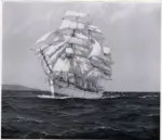 Dawson, Montague , Veliero