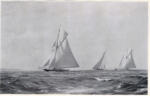Anonimo , Dawson, Montague