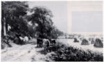 Farquharson, David , Harvest Day, Arran