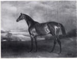 Ferneley, John , Rockingham -