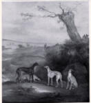 Anonimo ; Anonimo , s.v.
