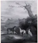 Ferneley, John , Butterfly, Gabrielle, Harpy and Treasure - four greyhounds