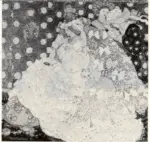 French, Annie , The Bryde heeds not hyr garments but hyr deere brydegroomes face -