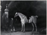 Garrard, George , A Grey Gelding Held by a Stable Boy
